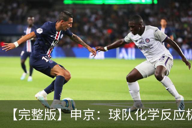 【完整版】申京：球队化学反应极佳 我为整个团队感到骄傲