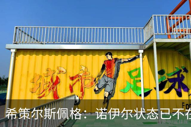 希策尔斯佩格：诺伊尔状态已不在巅峰，乌尔比希该接班
