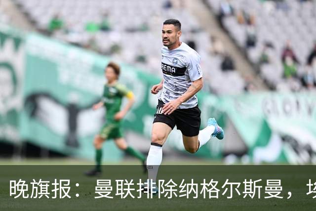晚旗报：曼联排除纳格尔斯曼，埃迪-豪成新帅热门