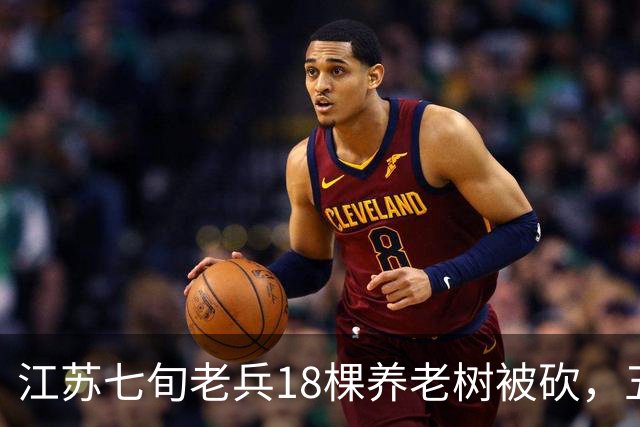 江苏七旬老兵18棵养老树被砍，五次赴省反映后被送派出所