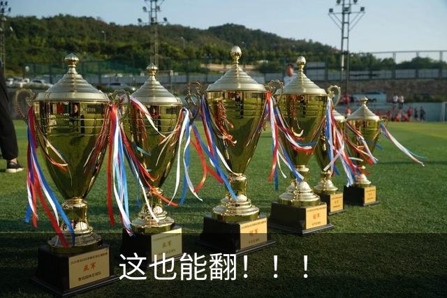 这也能翻！！！