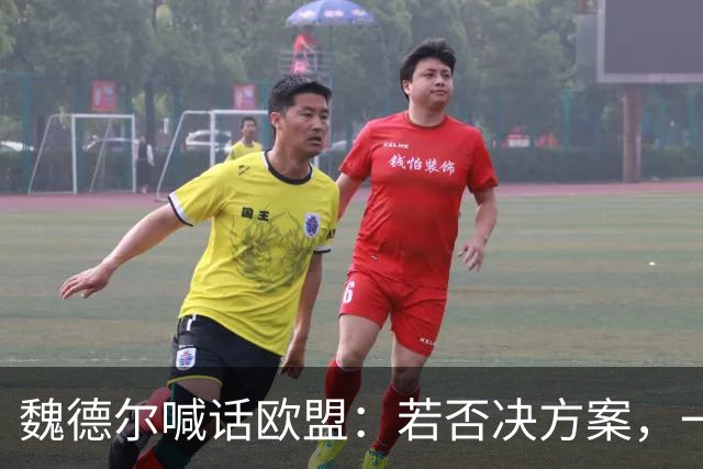 魏德尔喊话欧盟：若否决方案，一旦选择党上台，德国直接公投脱欧
