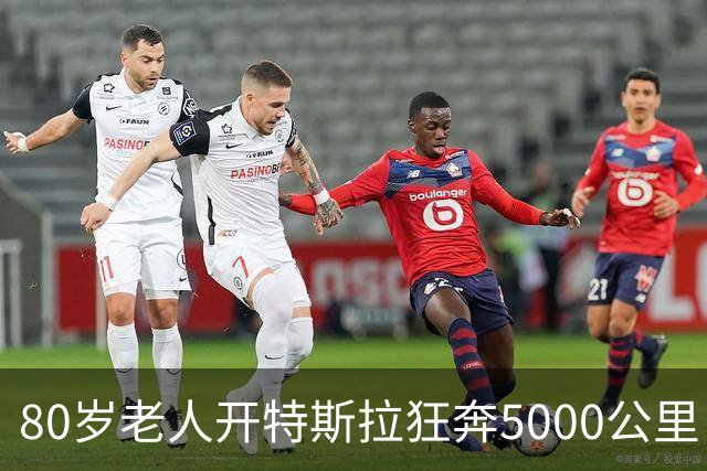 80岁老人开特斯拉狂奔5000公里：4500公里靠FSD辅助驾驶！